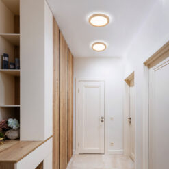 AQUA WOOD BUK 300 24W LED