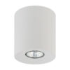 ORION WHITE LAMPA SUFITOWA 1